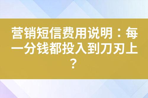 營銷短信費用說明：每一分錢都投入到刀刃上？